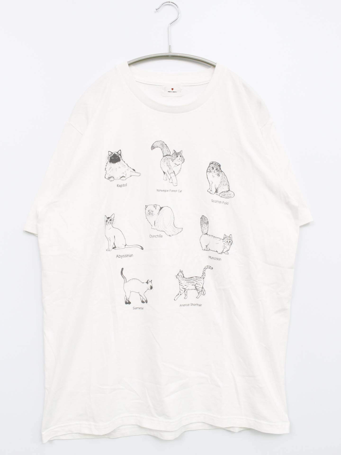 Tシャツ/カットソー