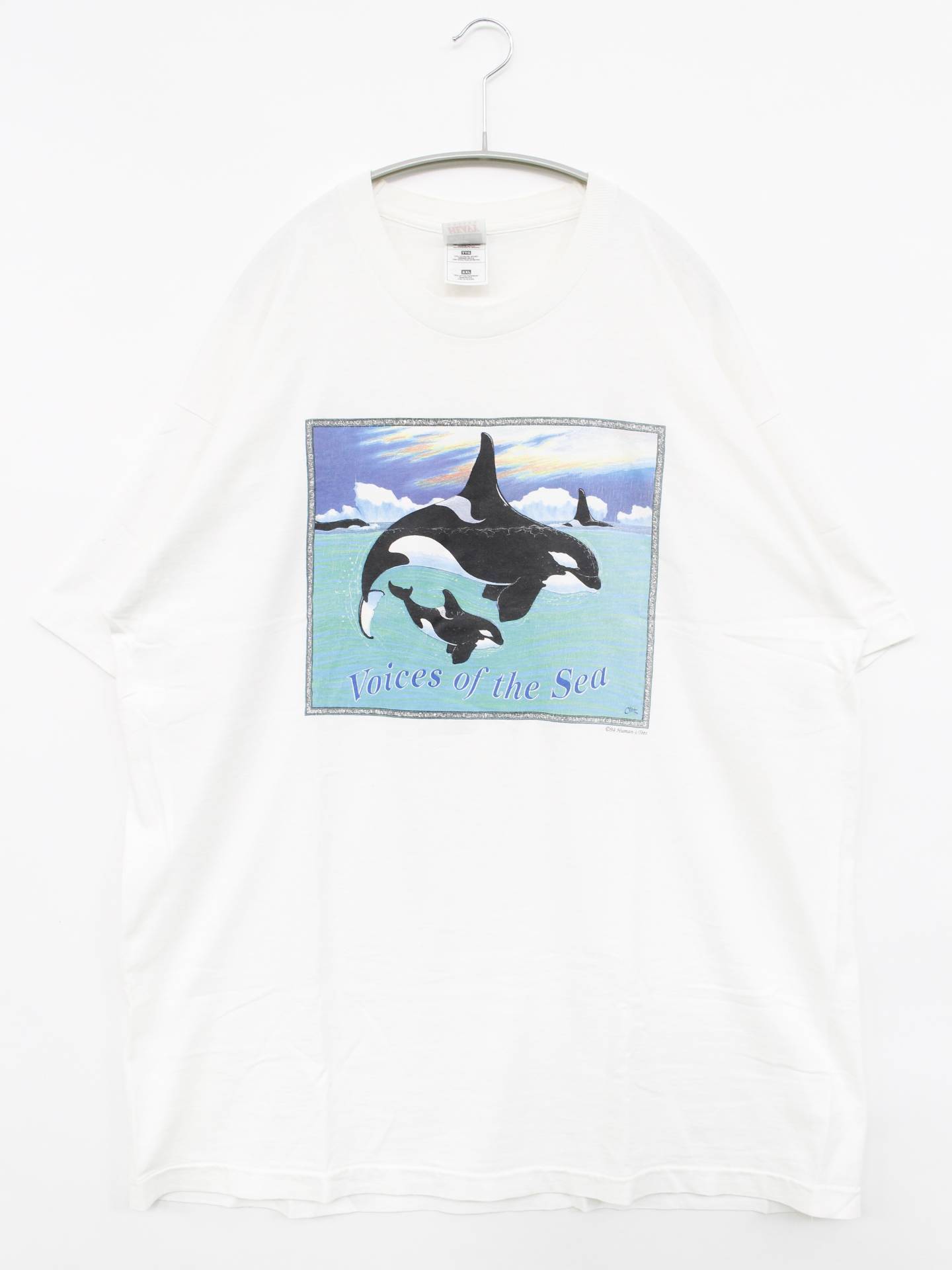 Tシャツ/カットソー