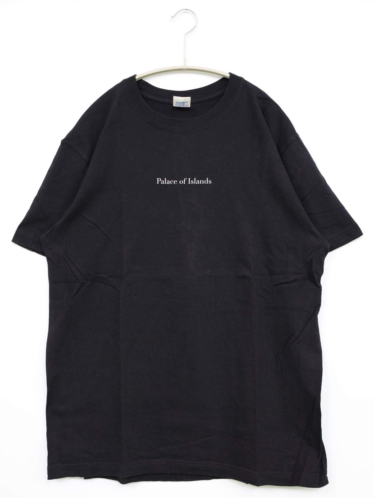 Tシャツ/カットソー